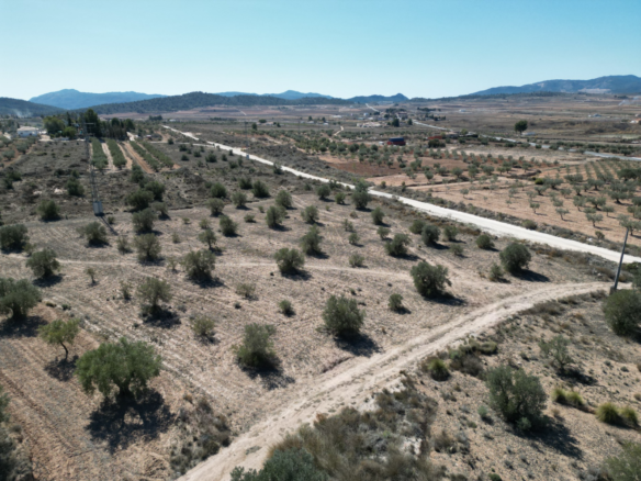 Land in Pinoso - Caza De Casa