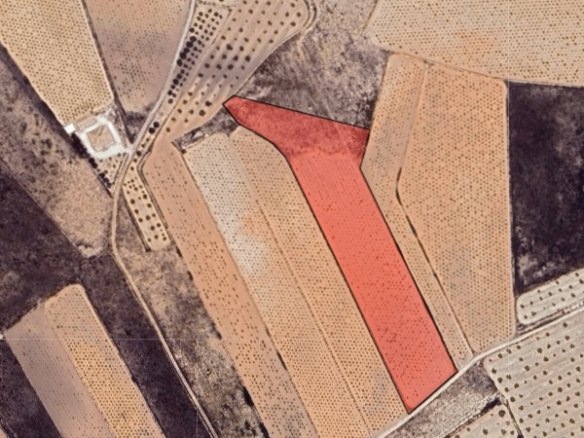 12,522 m² Land in La Solana - Caza De Casa