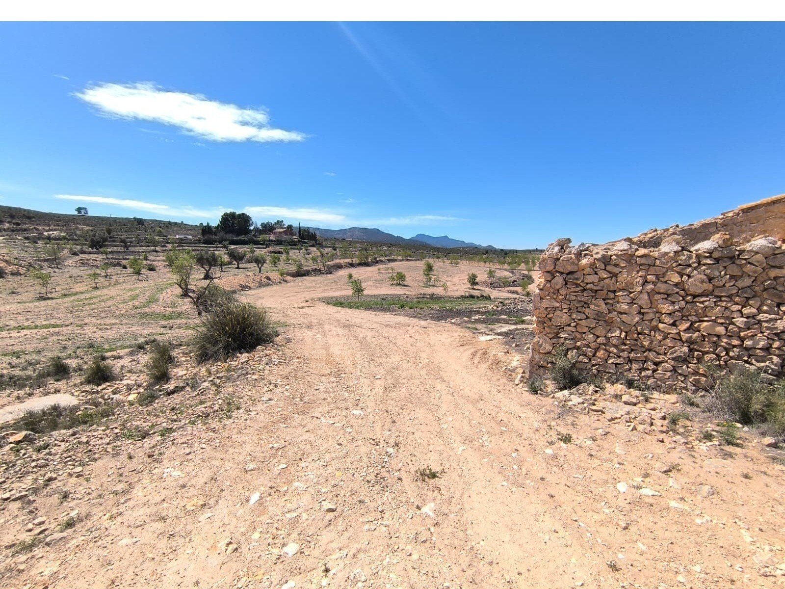 2 Bed 1 Bath Other in Rodriguillo - Caza De Casa