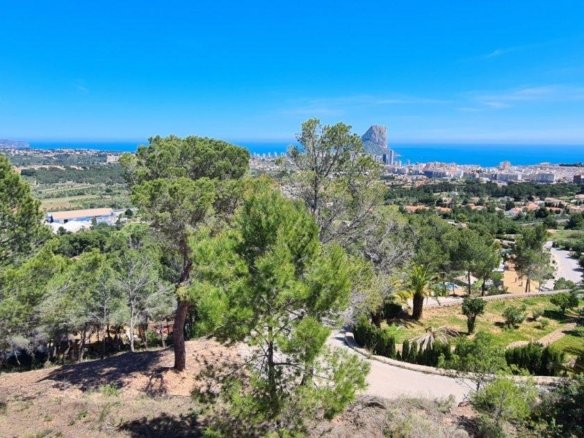 5,150 m² Land in Calpe - Caza De Casa