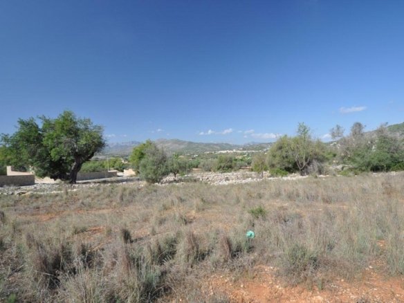 10,374 m² Land in Benissa - Caza De Casa