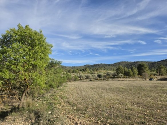 8,802 m² Land in Monóvar/Monóver - Caza De Casa