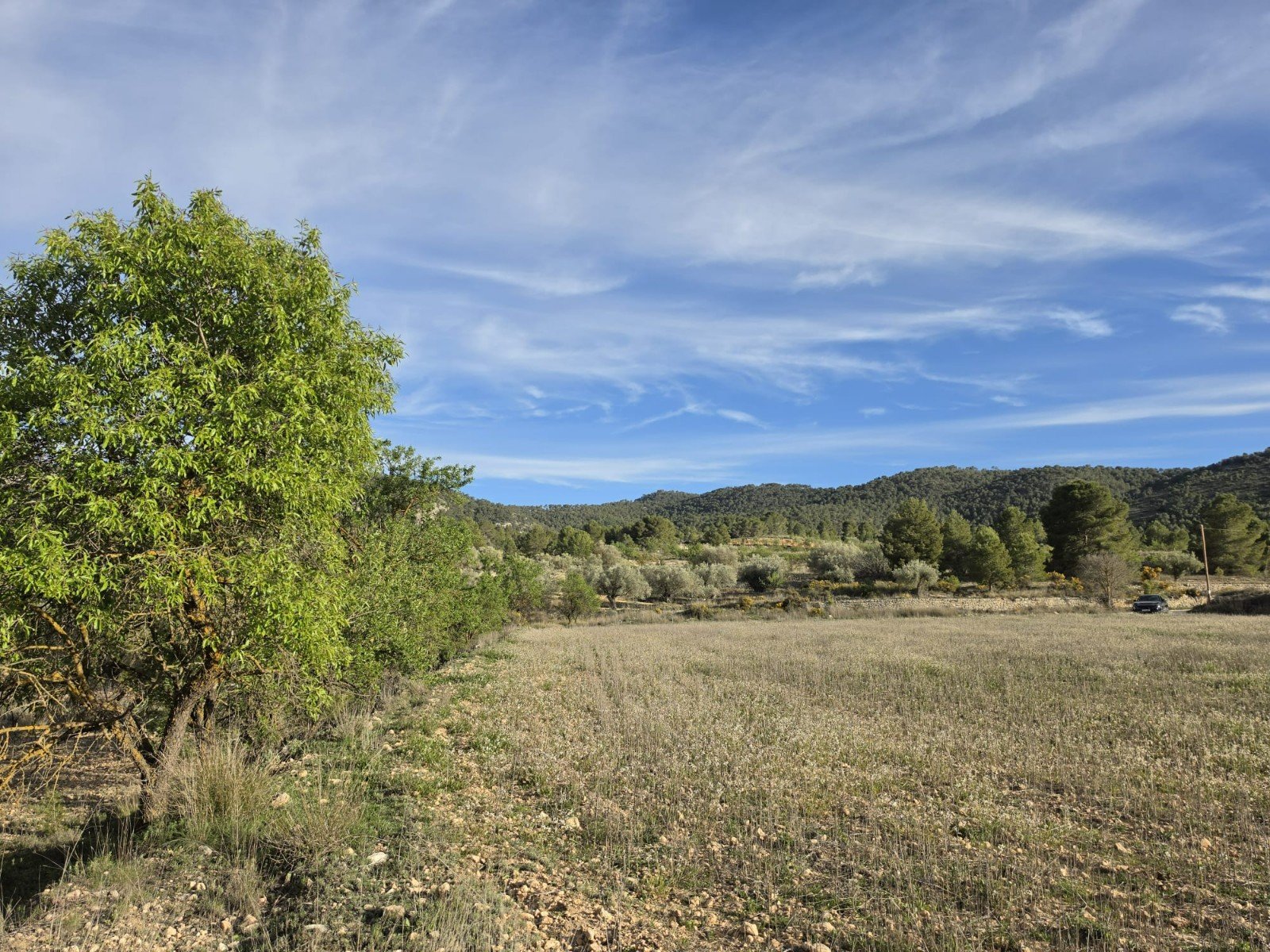 8,802 m² Land in Monóvar/Monóver - Caza De Casa