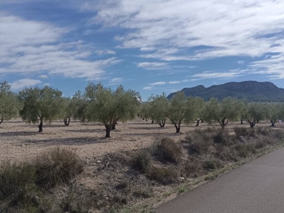 Land in Salinas - Caza De Casa
