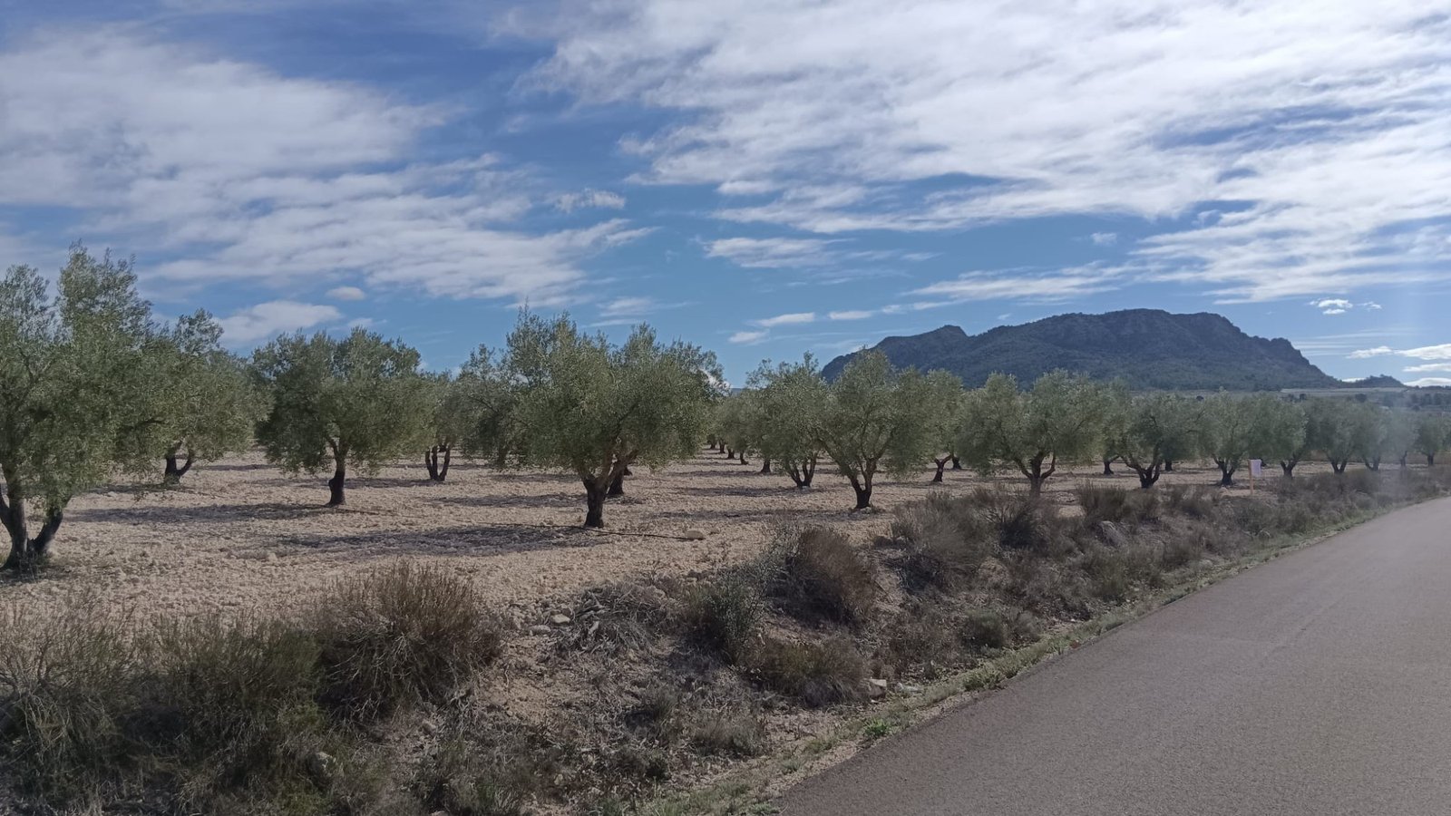 Land in Salinas - Caza De Casa