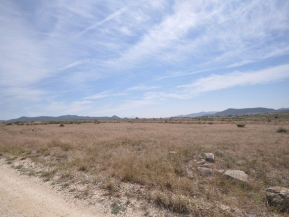 Land in Pinoso - Caza De Casa