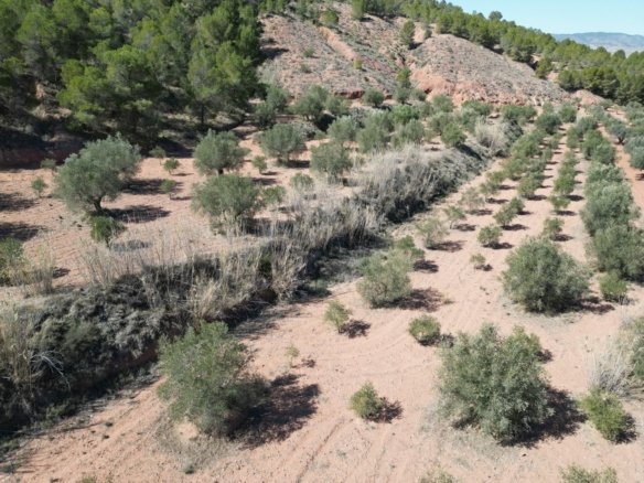 9,391 m² Land in Pinoso - Caza De Casa