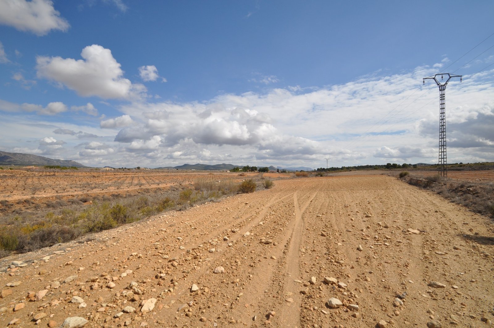 6bae28d5db35a29b Land in Pinoso - Caza De Casa