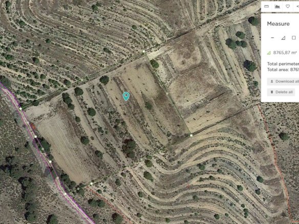 Land in Jumilla - Caza De Casa
