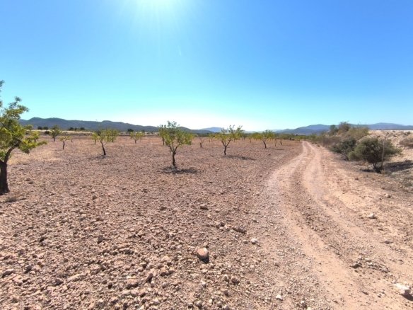 Land in Monóvar/Monóver - Caza De Casa