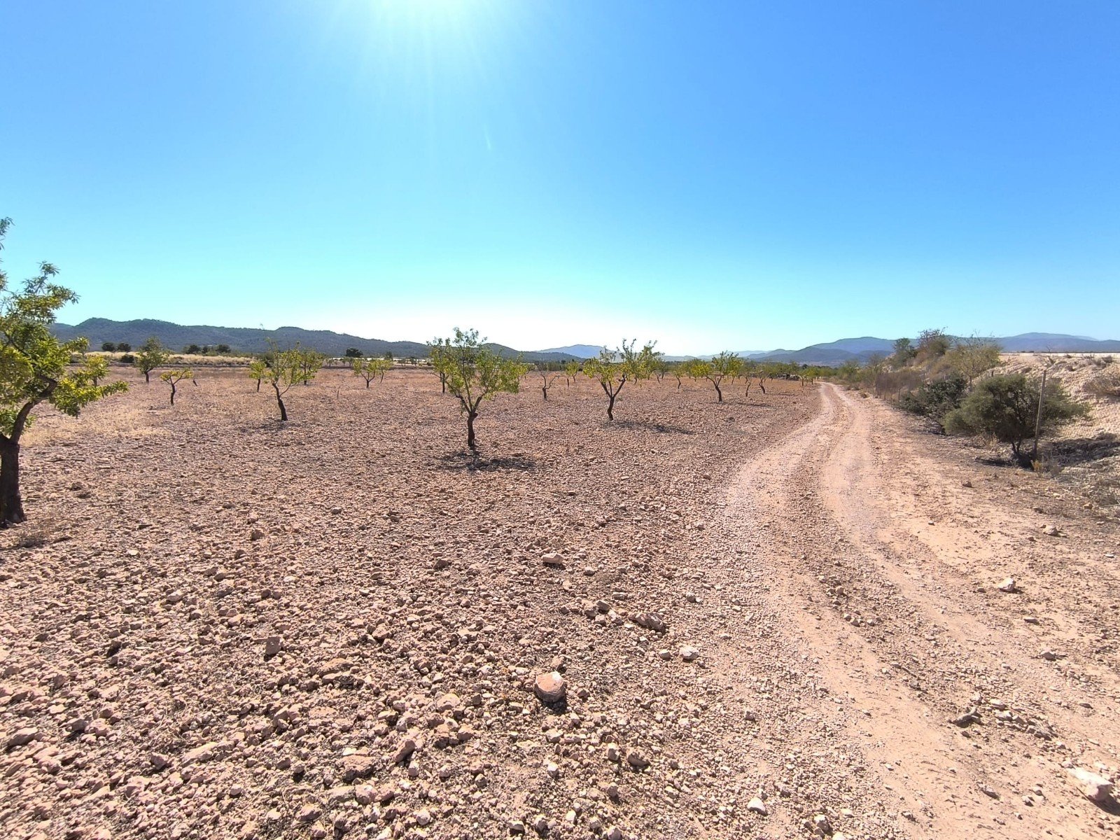 Land in Monóvar/Monóver - Caza De Casa