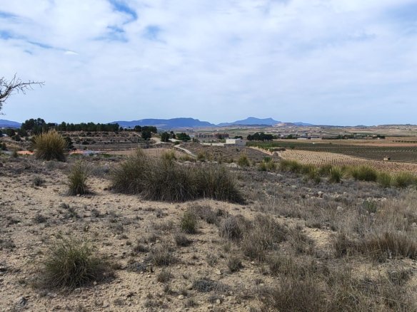 17,300 m² Land in Pinoso - Caza De Casa