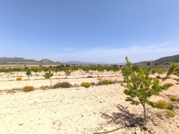 Land in Monóvar/Monóver - Caza De Casa