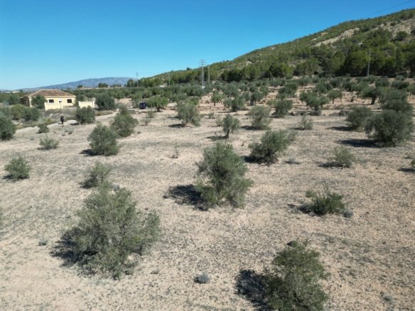 Land in Pinoso - Caza De Casa