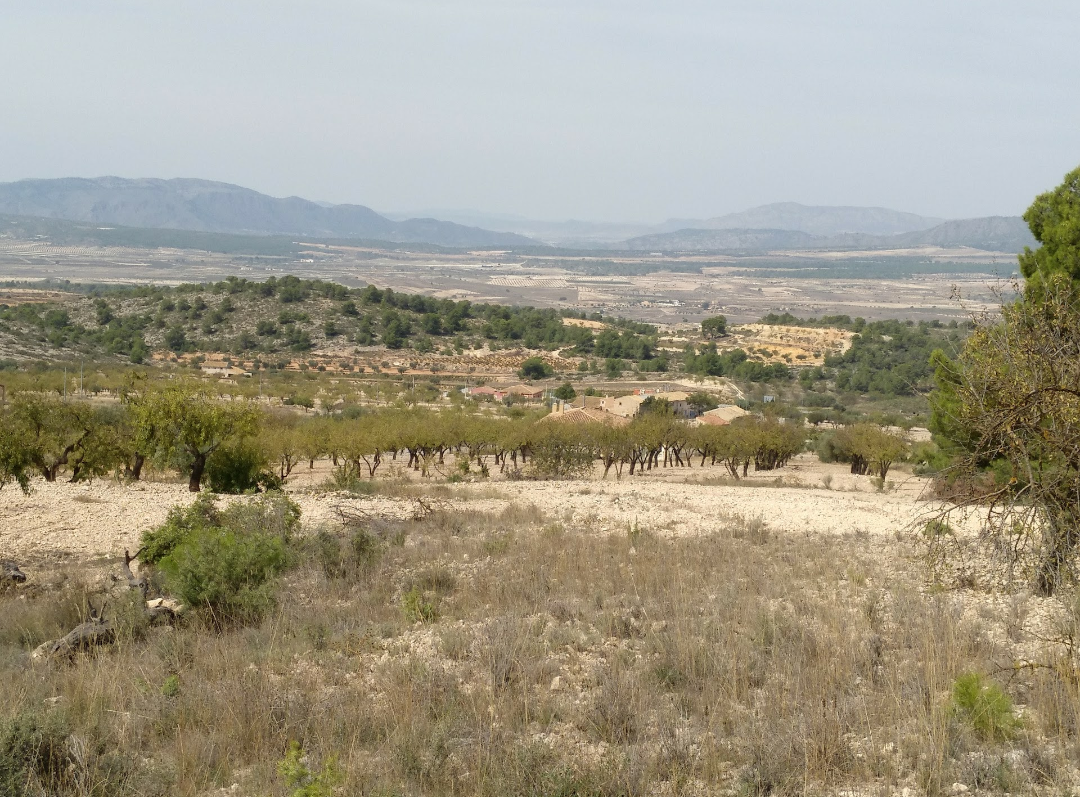 6fe123f42cec553b Land in Abanilla - Caza De Casa