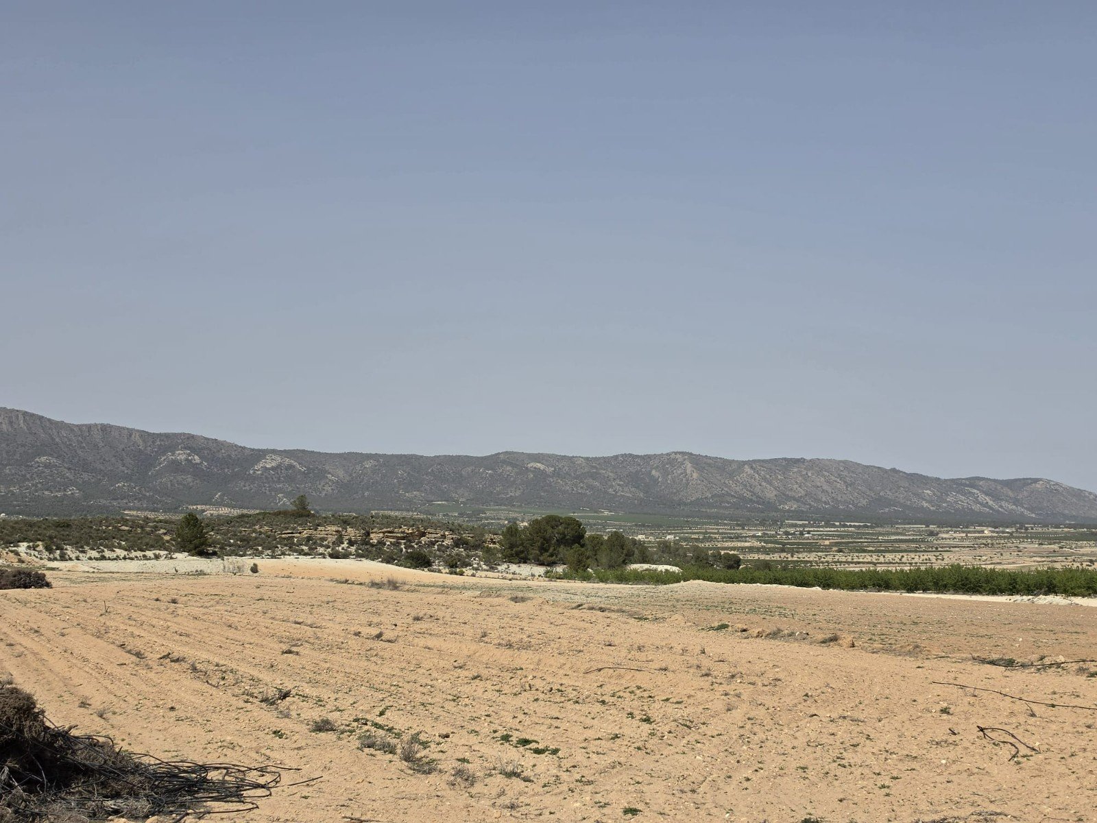 Land in Pinoso - Caza De Casa