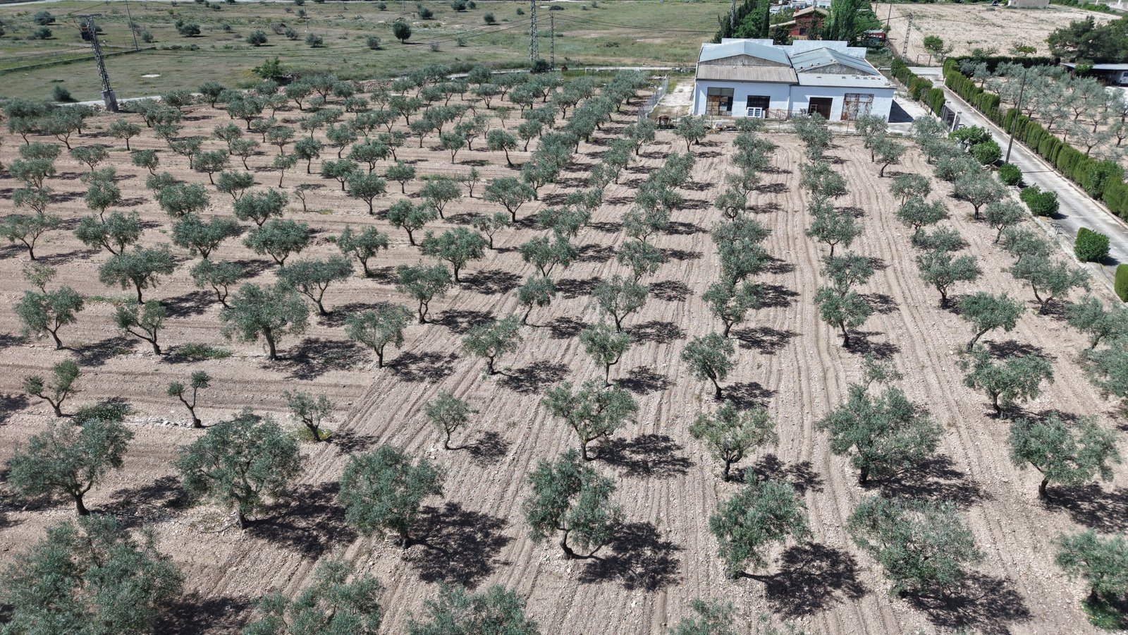 6 Bedroom 3 Bathroom Country House in Yecla - Caza De Casa