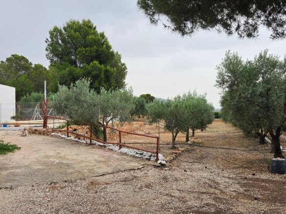 6 Bedroom 2 Bathroom Country House in Pinoso - Caza De Casa