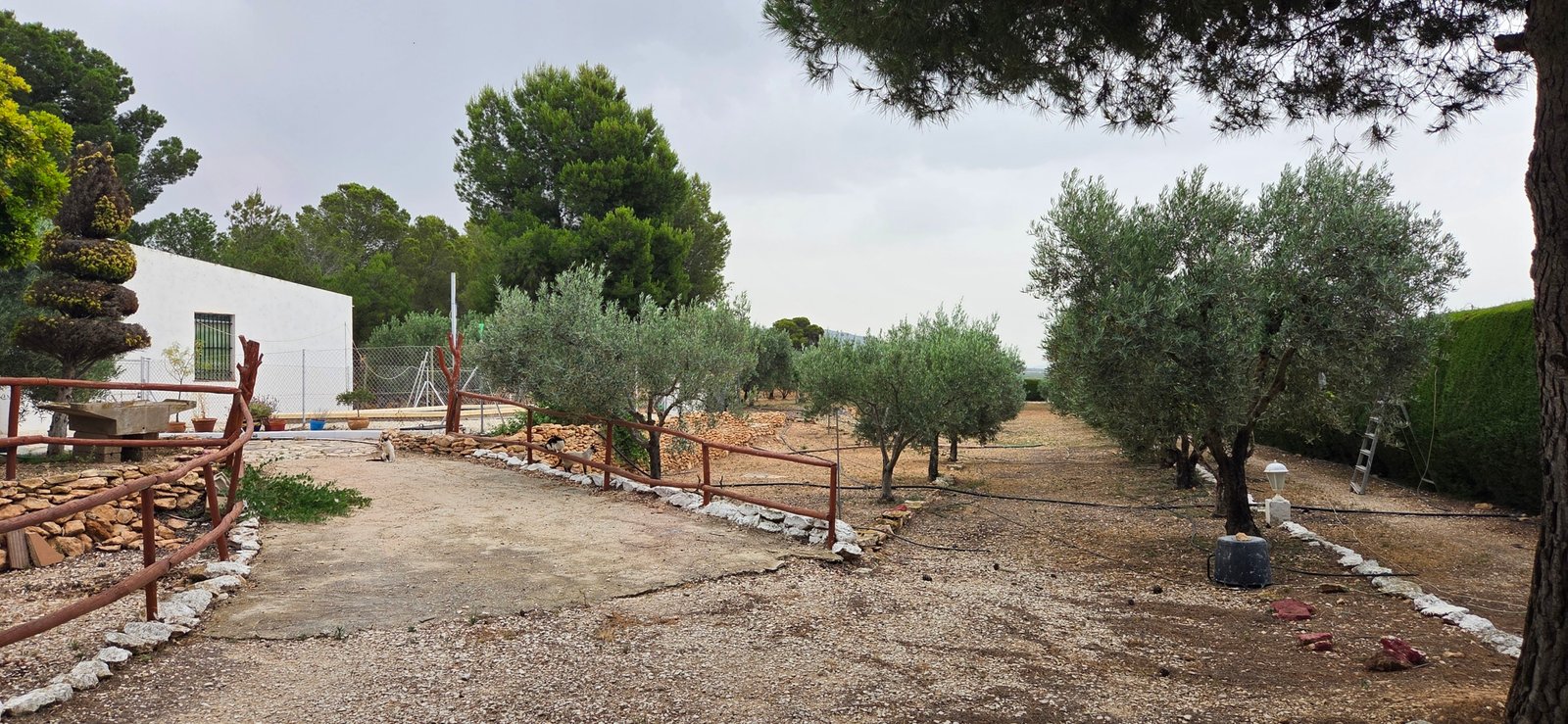 6 Bedroom 2 Bathroom Country House in Pinoso - Caza De Casa