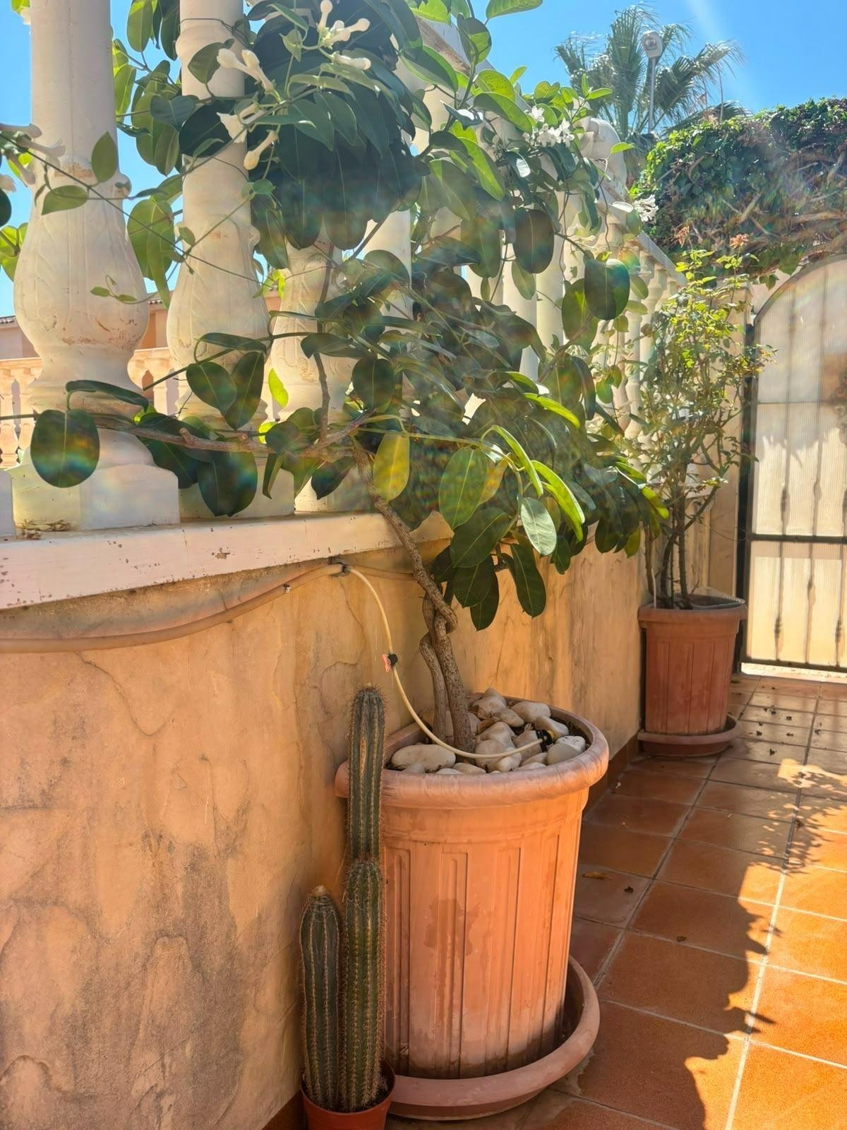 2 Bedroom 2 Bathroom Villa in Orihuela Costa - Caza De Casa