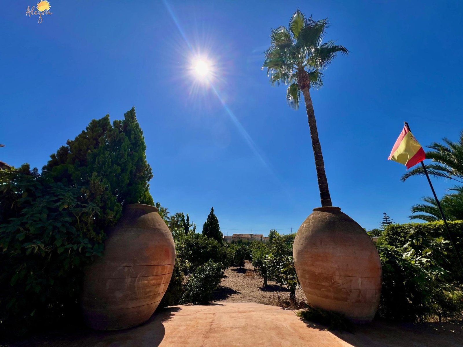 4 Bedroom 4 Bathroom Villa in Almoradi - Caza De Casa