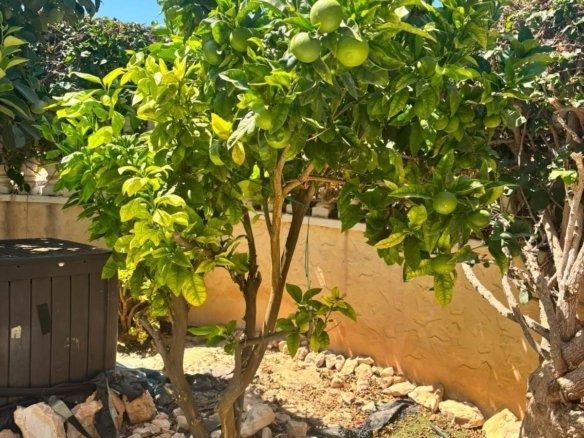 2 Bedroom 2 Bathroom Villa in Orihuela Costa - Caza De Casa