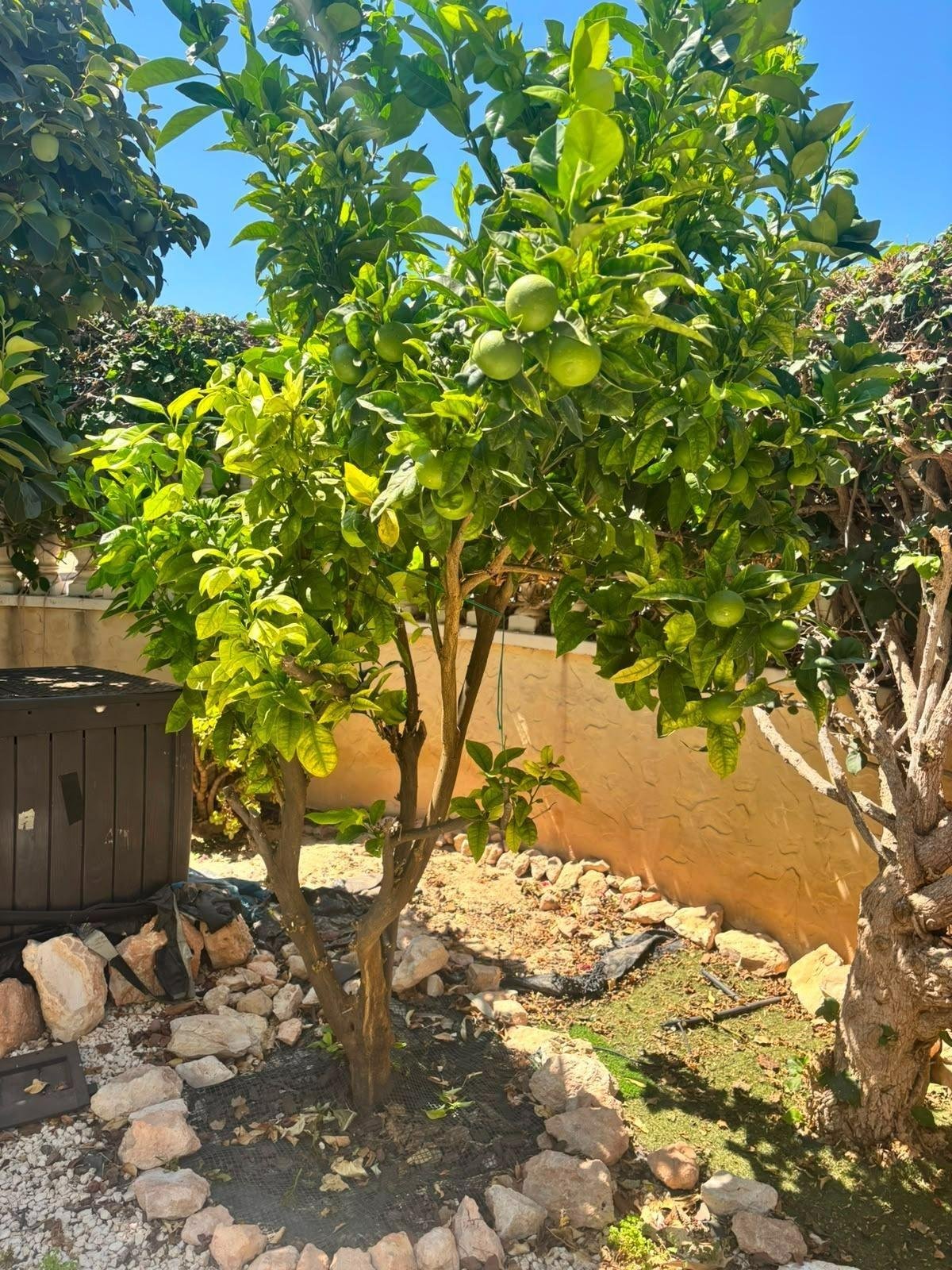 2 Bedroom 2 Bathroom Villa in Orihuela Costa - Caza De Casa
