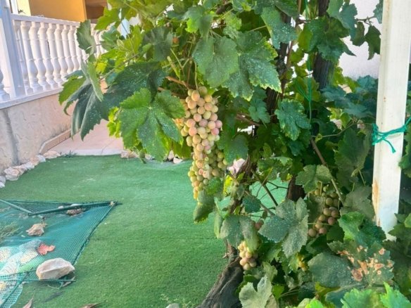 2 Bedroom 2 Bathroom Villa in Orihuela Costa - Caza De Casa