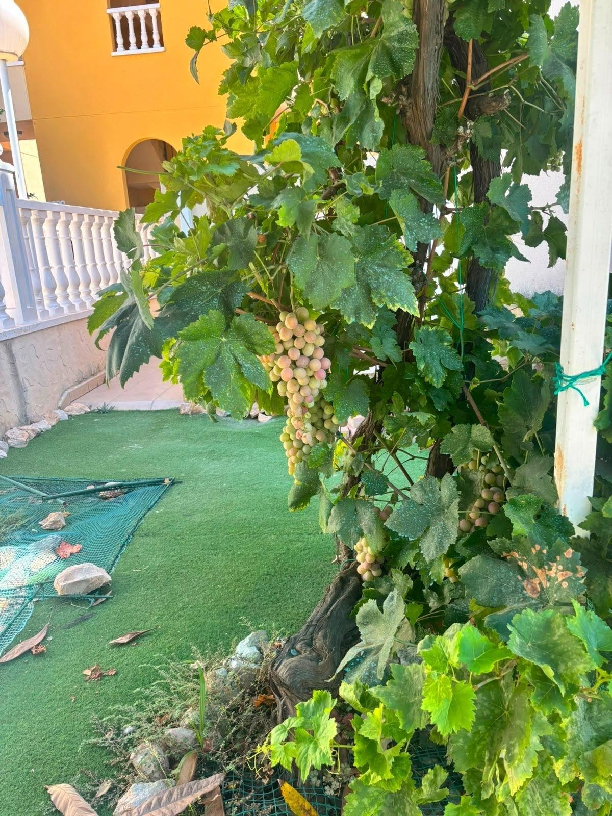 2 Bedroom 2 Bathroom Villa in Orihuela Costa - Caza De Casa