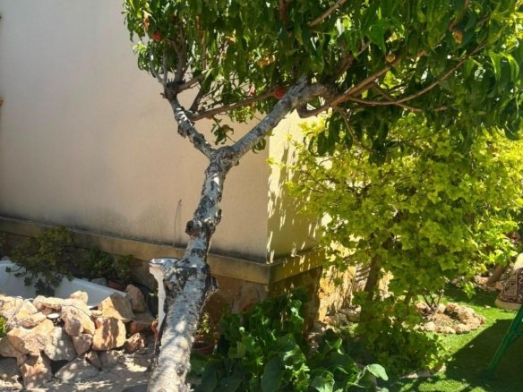 2 Bedroom 2 Bathroom Villa in Orihuela Costa - Caza De Casa