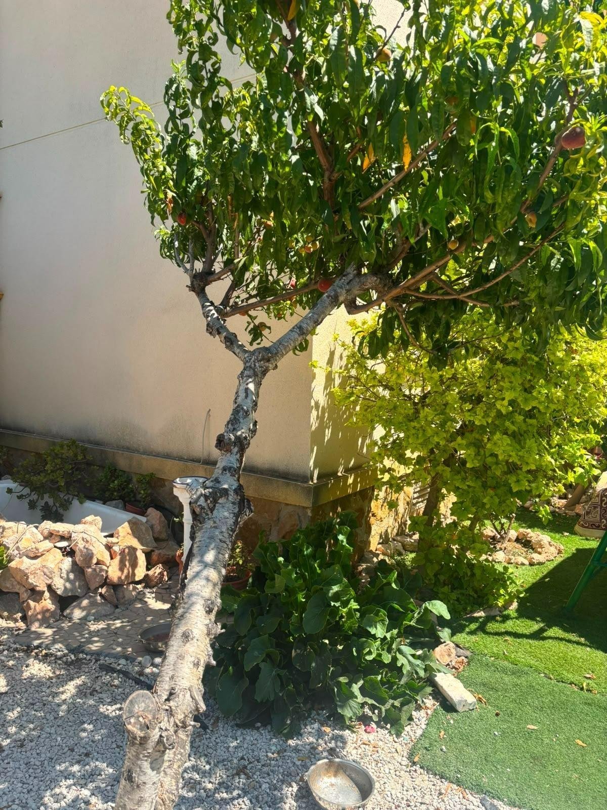 2 Bedroom 2 Bathroom Villa in Orihuela Costa - Caza De Casa