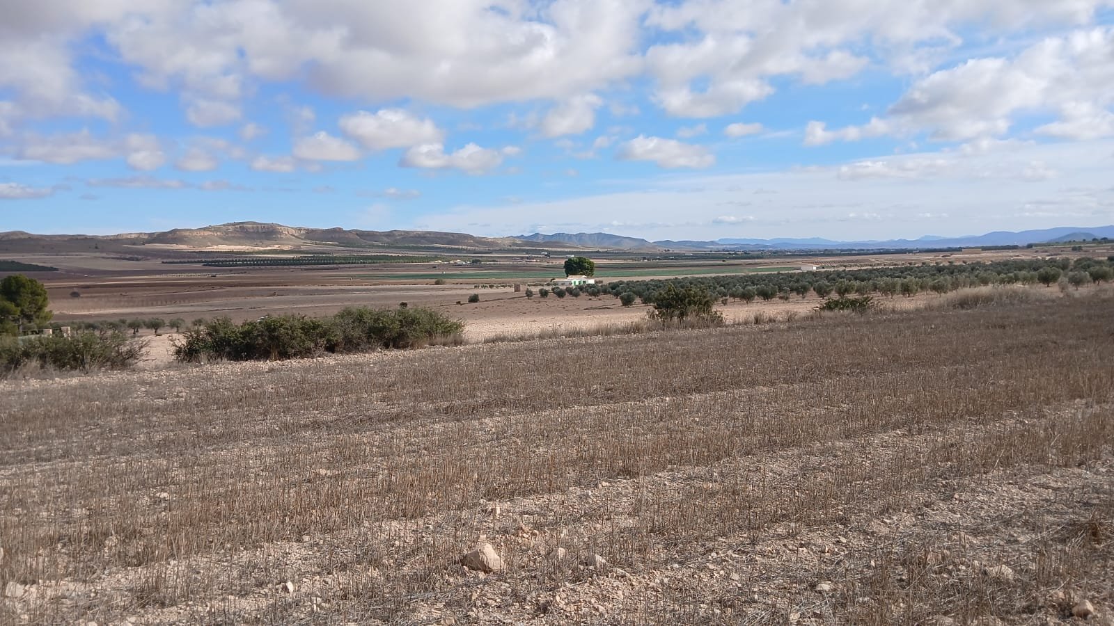 110,000 m² Land in Yecla - Caza De Casa