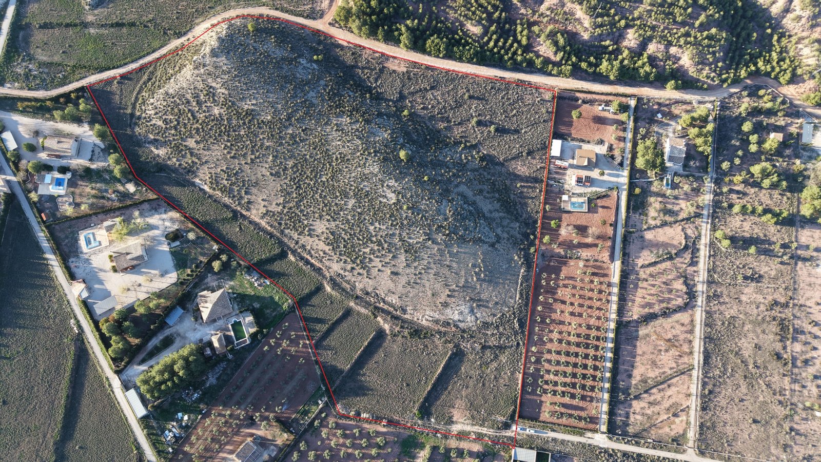 40,000 m² Land in Yecla - Caza De Casa