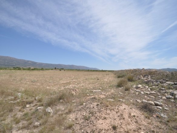 Land in Pinoso - Caza De Casa