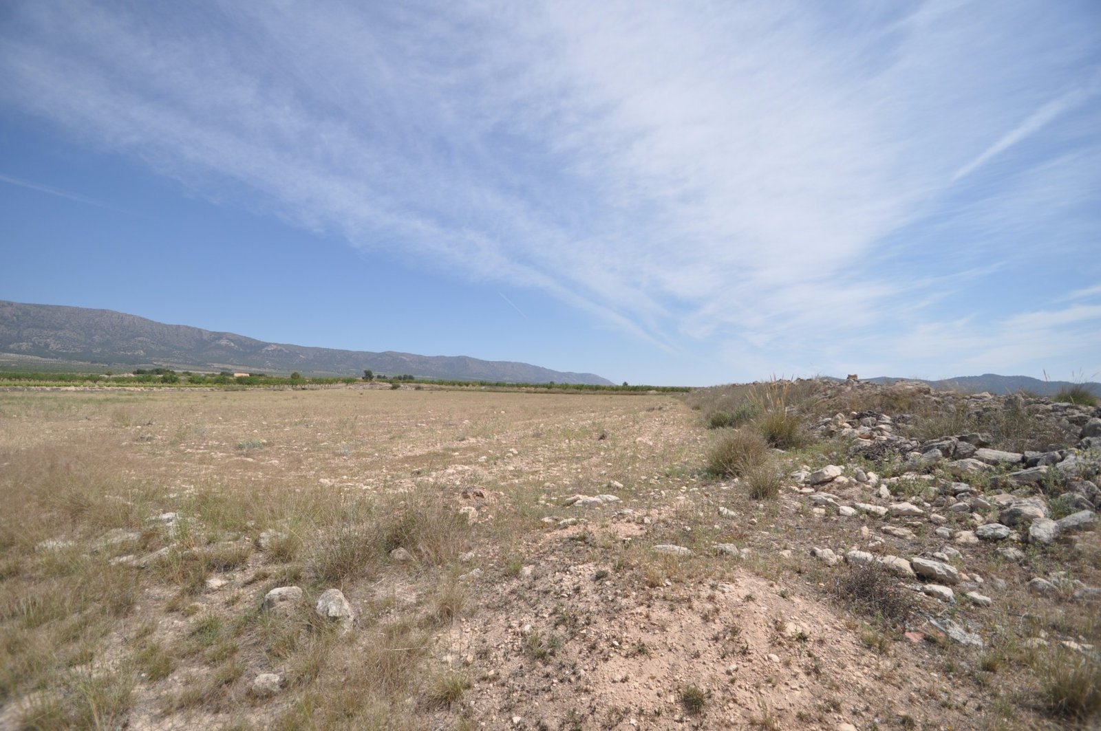Land in Pinoso - Caza De Casa