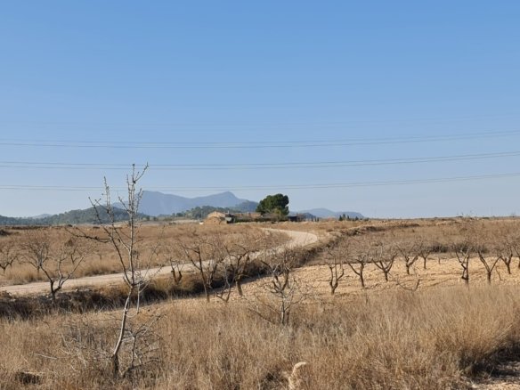 Land in Jumilla - Caza De Casa
