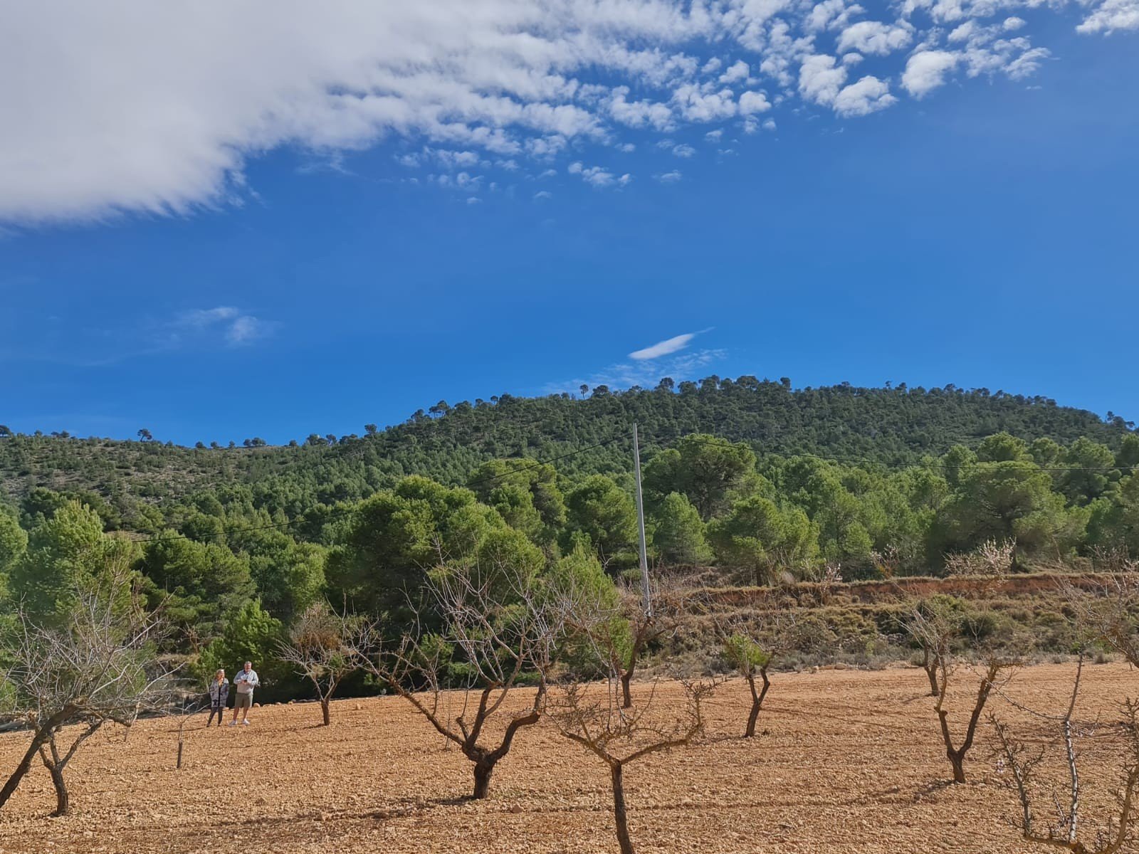 7050b207f7a09683 Land in Pinoso - Caza De Casa