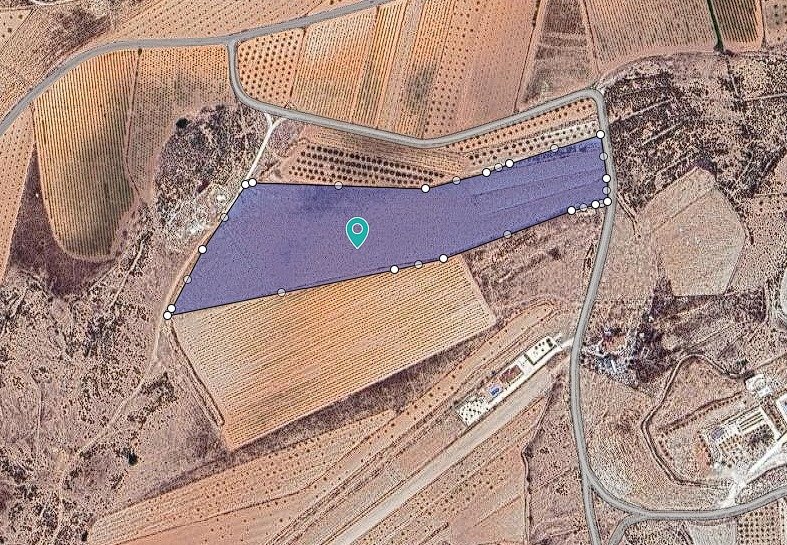 30,552 m² Land in Pinoso - Caza De Casa