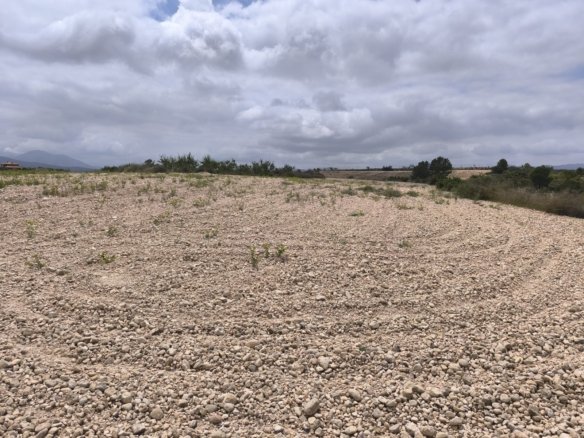 29,575 m² Land in Pinoso - Caza De Casa
