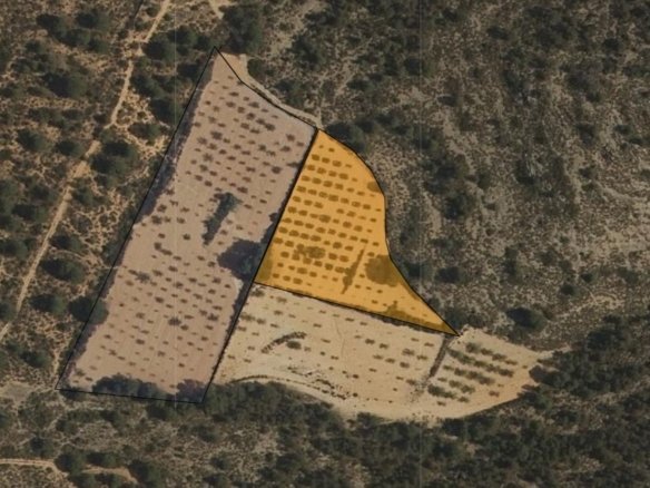 Land in Yecla - Caza De Casa