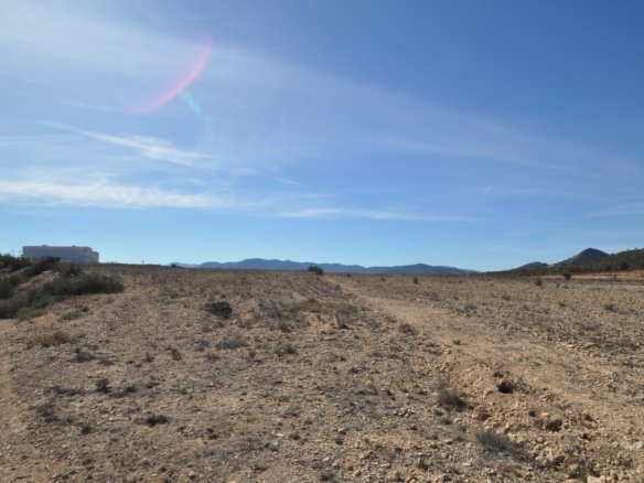 12,542 m² Land in Monóvar/Monóver - Caza De Casa