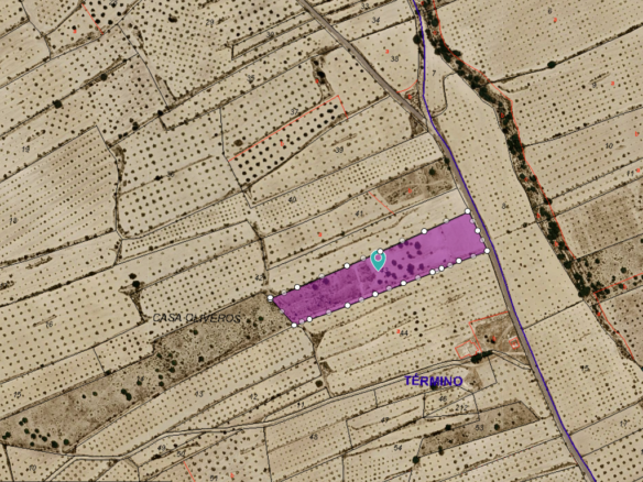 Land in Pinoso - Caza De Casa