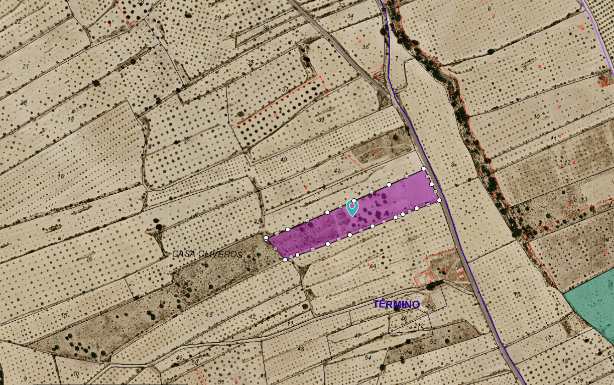 Land in Pinoso - Caza De Casa