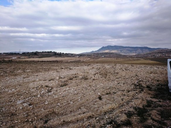 160,000 m² Land in Torre Del Rico - Caza De Casa