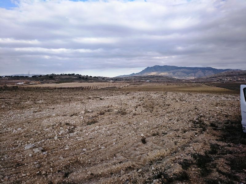 160,000 m² Land in Torre Del Rico - Caza De Casa