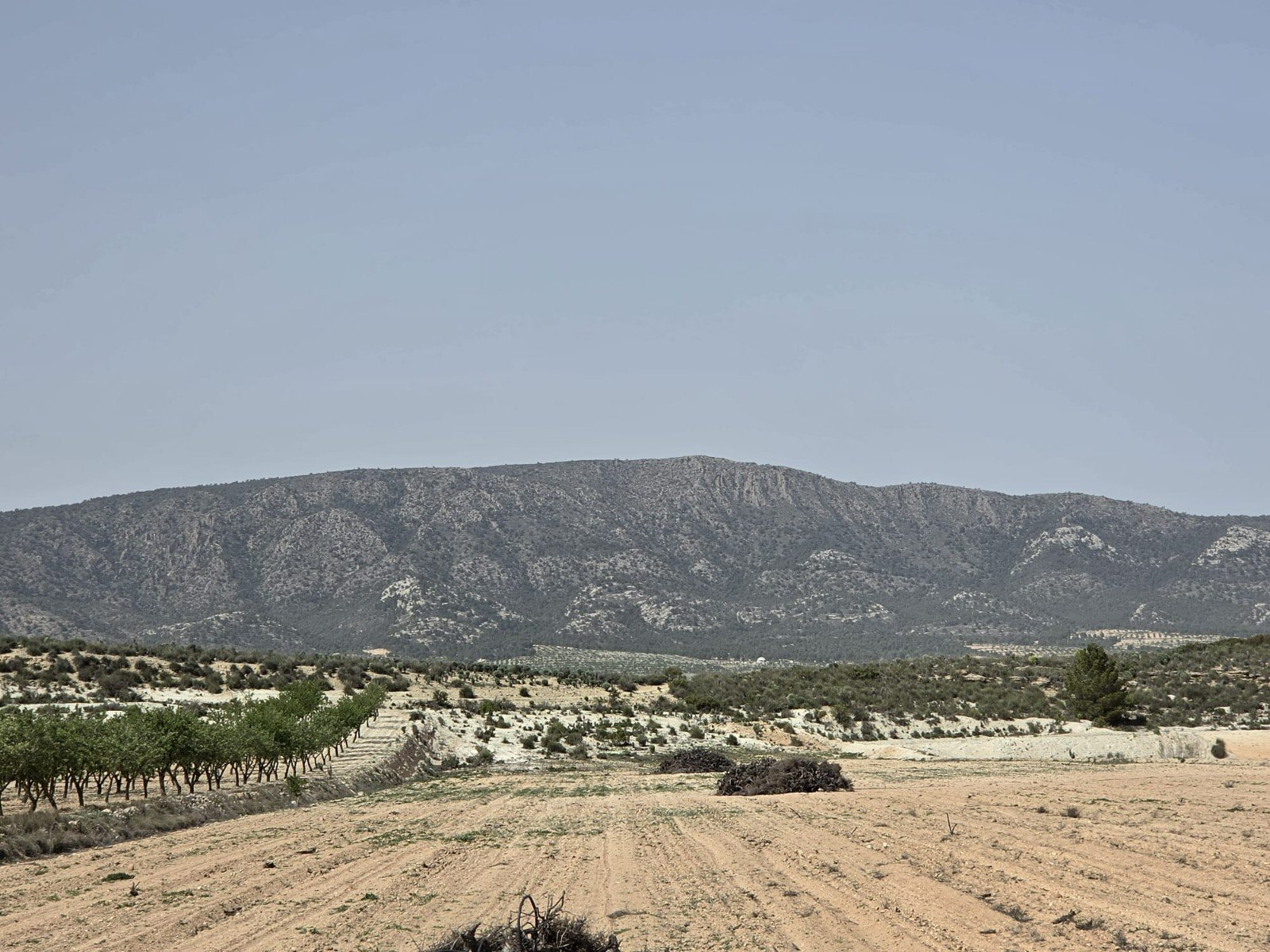 Land in Pinoso - Caza De Casa
