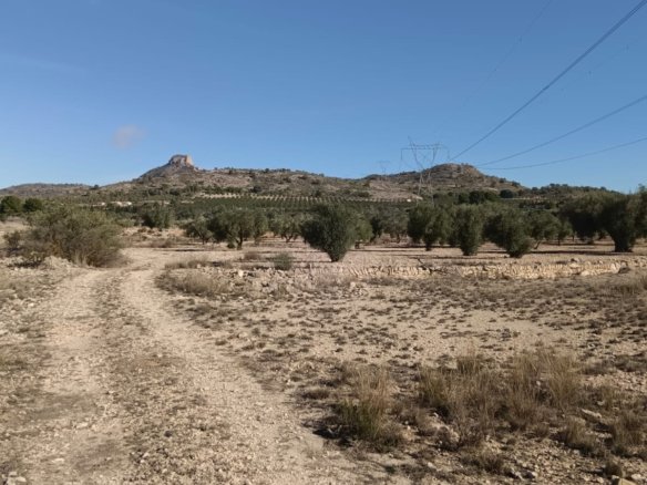 16,000 m² Land in Salinas - Caza De Casa