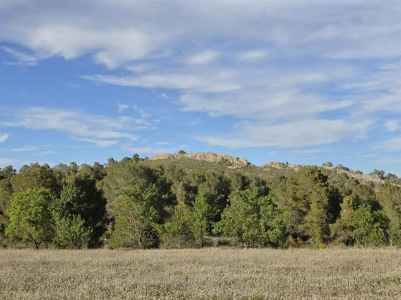 8,802 m² Land in Monóvar/Monóver - Caza De Casa