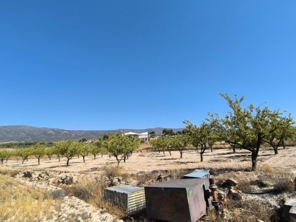 3,753 m² Land in Monóvar/Monóver - Caza De Casa