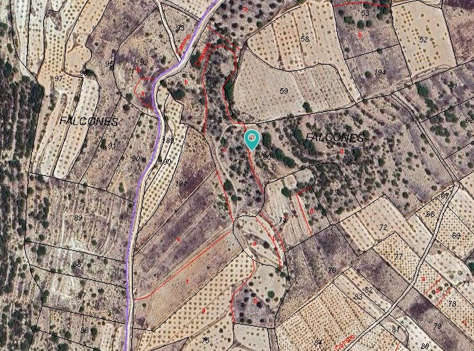Land in Monóvar/Monóver - Caza De Casa